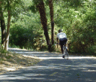 LosGatosCreekTrail1