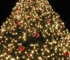 tree_lighting_194x259