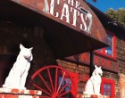 The Cats FELINE FINES: Two majestic namesake beasts guard the entrance to the Cats. // Photo by Michael S. Gant .
