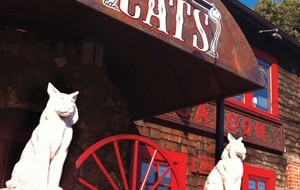 FELINE FINES: Two majestic namesake beasts guard the entrance to the Cats. // Photo by Michael S. Gant .