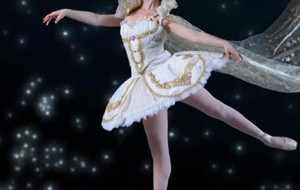 los-gatos-ballet